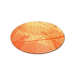 Orange Leaves Colorful Transparent Texture Of Natural Background Sticker (oval)