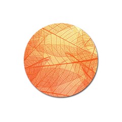 Orange Leaves Colorful Transparent Texture Of Natural Background Magnet 3  (round)