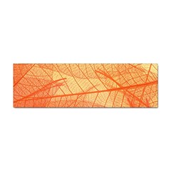 Orange Leaves Colorful Transparent Texture Of Natural Background Sticker Bumper (100 Pack) by Jancukart