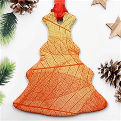 Orange Leaves Colorful Transparent Texture Of Natural Background Ornament (christmas Tree) 