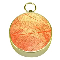 Orange Leaves Colorful Transparent Texture Of Natural Background Gold Compasses