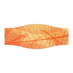 Orange Leaves Colorful Transparent Texture Of Natural Background Stretchable Headband