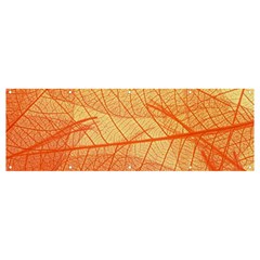 Orange Leaves Colorful Transparent Texture Of Natural Background Banner And Sign 12  X 4 