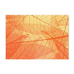 Orange Leaves Colorful Transparent Texture Of Natural Background Crystal Sticker (a4)