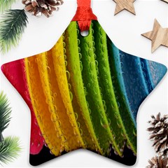  Colorful Illustrations Ornament (star) by artworkshop