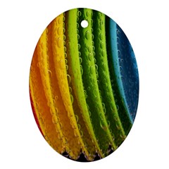  Colorful Illustrations Oval Ornament (two Sides) by artworkshop