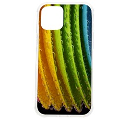  Colorful Illustrations Iphone 12 Pro Max Tpu Uv Print Case by artworkshop