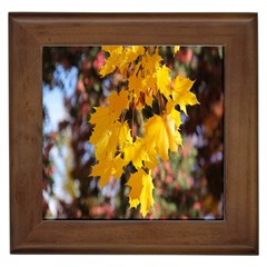 Amazing Arrowtown Autumn Leaves Framed Tile by artworkshop