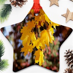 Amazing Arrowtown Autumn Leaves Ornament (star) by artworkshop