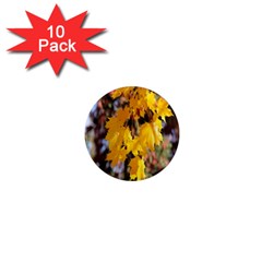 Amazing Arrowtown Autumn Leaves 1  Mini Magnet (10 Pack)  by artworkshop