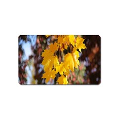 Amazing Arrowtown Autumn Leaves Magnet (name Card)