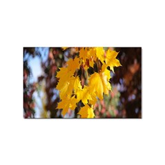 Amazing Arrowtown Autumn Leaves Sticker Rectangular (10 Pack) by artworkshop