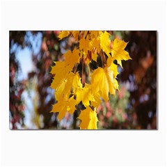 Amazing Arrowtown Autumn Leaves Postcard 4 x 6  (pkg Of 10) by artworkshop