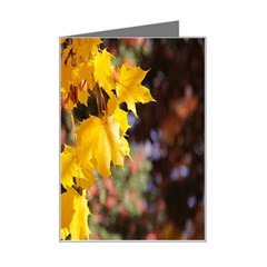 Amazing Arrowtown Autumn Leaves Mini Greeting Card by artworkshop