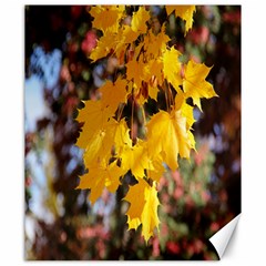 Amazing Arrowtown Autumn Leaves Canvas 20  X 24  by artworkshop