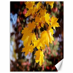 Amazing Arrowtown Autumn Leaves Canvas 36  X 48  by artworkshop