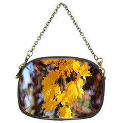 Amazing Arrowtown Autumn Leaves Chain Purse (one Side) by artworkshop