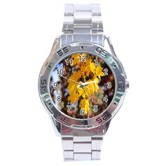 Amazing Arrowtown Autumn Leaves Stainless Steel Analogue Watch by artworkshop