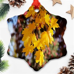 Amazing Arrowtown Autumn Leaves Ornament (snowflake) by artworkshop