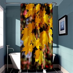 Amazing Arrowtown Autumn Leaves Shower Curtain 36  X 72  (stall)  by artworkshop