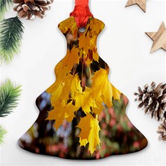 Amazing Arrowtown Autumn Leaves Ornament (christmas Tree)  by artworkshop