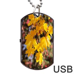 Amazing Arrowtown Autumn Leaves Dog Tag Usb Flash (one Side) by artworkshop