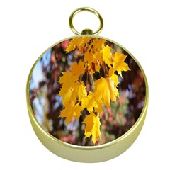 Amazing Arrowtown Autumn Leaves Gold Compasses by artworkshop