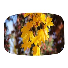 Amazing Arrowtown Autumn Leaves Mini Square Pill Box by artworkshop