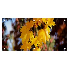 Amazing Arrowtown Autumn Leaves Banner And Sign 6  X 3  by artworkshop