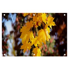 Amazing Arrowtown Autumn Leaves Banner And Sign 6  X 4  by artworkshop