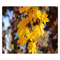 Amazing Arrowtown Autumn Leaves One Side Premium Plush Fleece Blanket (small) by artworkshop