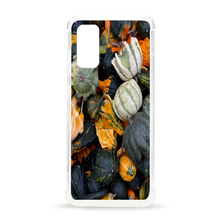 Autumn Decoration Collection Colorful Samsung Galaxy S20 6.2 Inch TPU UV Case