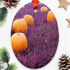  Autumn Decoration Autumn Flowers Autumn Plant Ornament (oval)