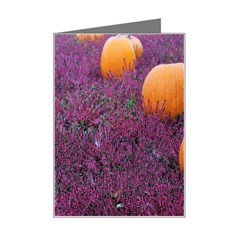  Autumn Decoration Autumn Flowers Autumn Plant Mini Greeting Card by artworkshop