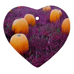  Autumn Decoration Autumn Flowers Autumn Plant Heart Ornament (two Sides) by artworkshop