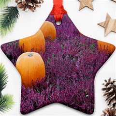  Autumn Decoration Autumn Flowers Autumn Plant Star Ornament (two Sides) by artworkshop