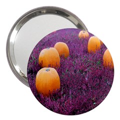  Autumn Decoration Autumn Flowers Autumn Plant 3  Handbag Mirrors by artworkshop