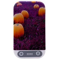  Autumn Decoration Autumn Flowers Autumn Plant Sterilizers