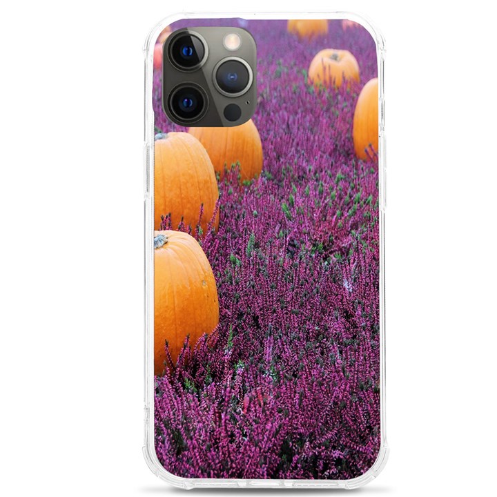  Autumn Decoration Autumn Flowers Autumn Plant iPhone 12 Pro max TPU UV Print Case