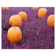  Autumn Decoration Autumn Flowers Autumn Plant One Side Premium Plush Fleece Blanket (medium) by artworkshop