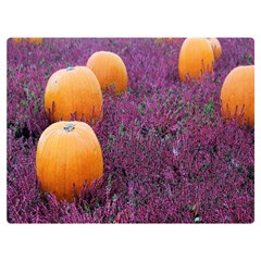  Autumn Decoration Autumn Flowers Autumn Plant Premium Plush Fleece Blanket (extra Small)