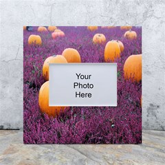  Autumn Decoration Autumn Flowers Autumn Plant White Box Photo Frame 4  X 6 