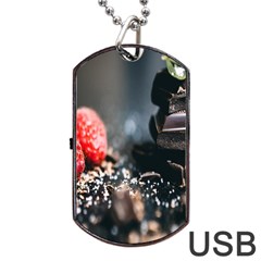 Chocolate Dark Dog Tag Usb Flash (two Sides) by artworkshop