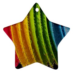  Colorful Illustrations Ornament (star)