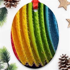  Colorful Illustrations Oval Ornament (two Sides) by artworkshop