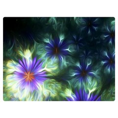 Fractalflowers One Side Premium Plush Fleece Blanket (extra Small) by Sparkle