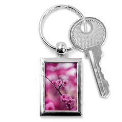 Pexels-photo-548375 Pexels-photo-130847 Key Chain (rectangle) by NeiceeBeazz