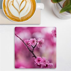 Pexels-photo-548375 Pexels-photo-130847 Uv Print Square Tile Coaster  by NeiceeBeazz