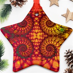 Abstract Art Pattern Fractal Design Ornament (star) by Ravend