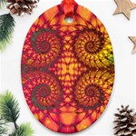 Abstract Art Pattern Fractal Design Oval Ornament (Two Sides) Front